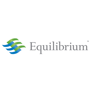 Equilibrium Capital