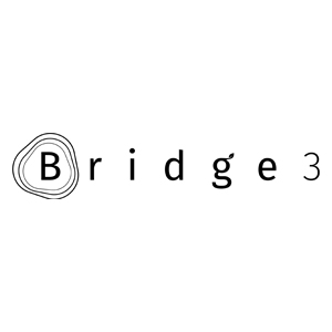 Bridge3 Sustainability Management